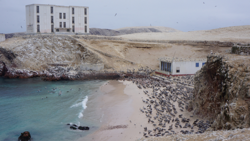 Dormitory and worker kitchen on Chinca Norte Island